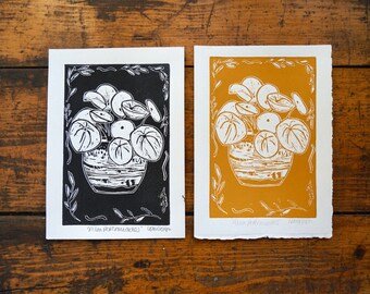 Impresión original en linograbado de la planta de dinero china 'Pilea Peperomioides'.