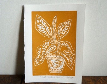 Original Linocut print ‘Dieffenbachia Amoena’ Dumb cane.