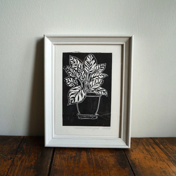 Original Linocut print ‘Calathea Makoyana’ Peacock Plant