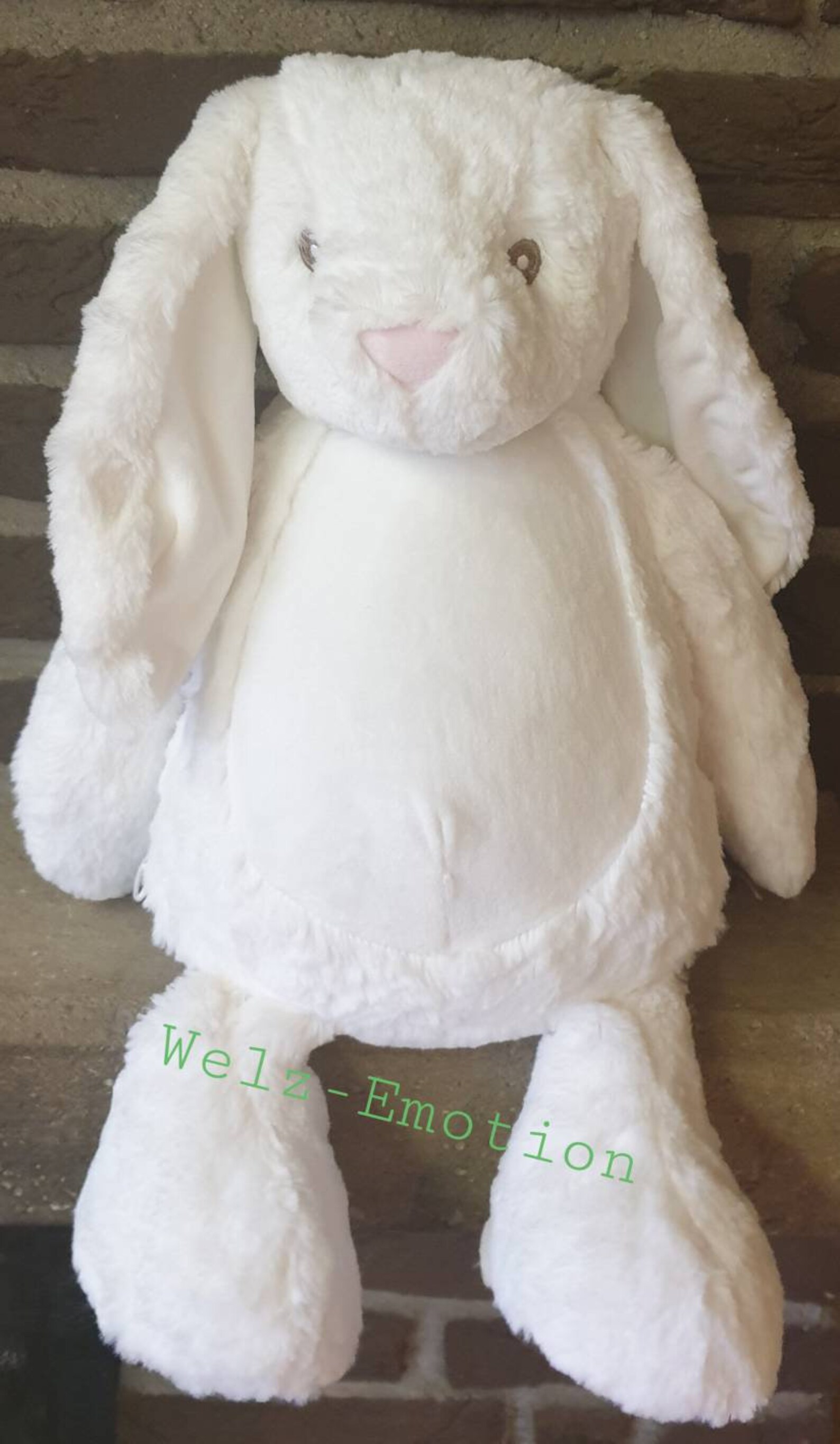Bunny Cuddly Toy Individually Embroidered for Birth Etsy