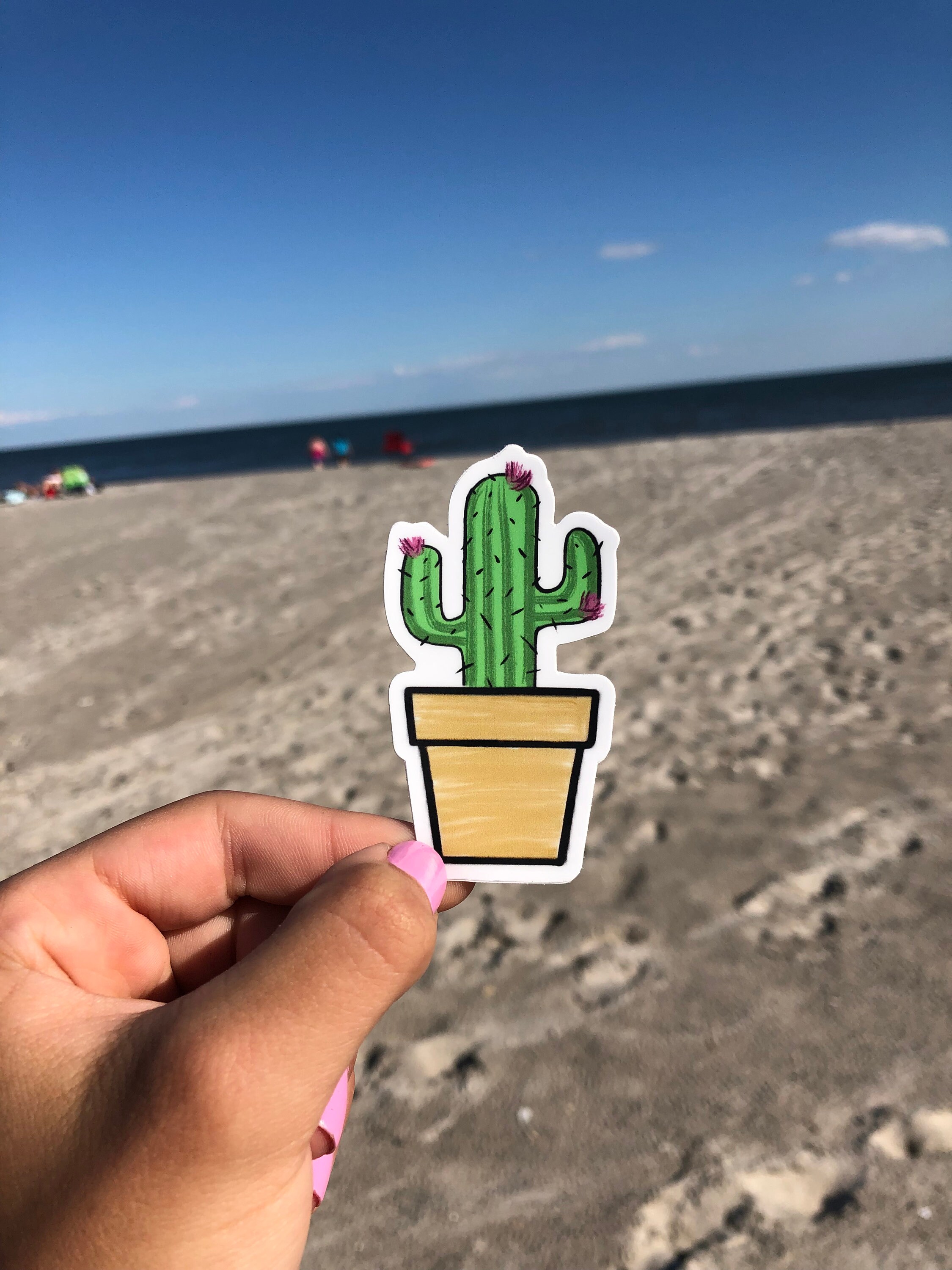 Cactus Sticker WATERPROOF Etsy