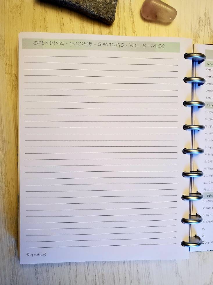Budget Pages for all 9 Disc Planner Systems including Happy Etsy