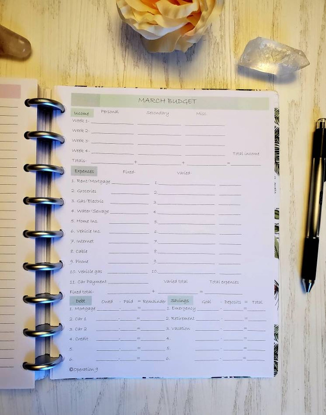 Budget Pages for all 9 Disc Planner Systems including Happy Etsy