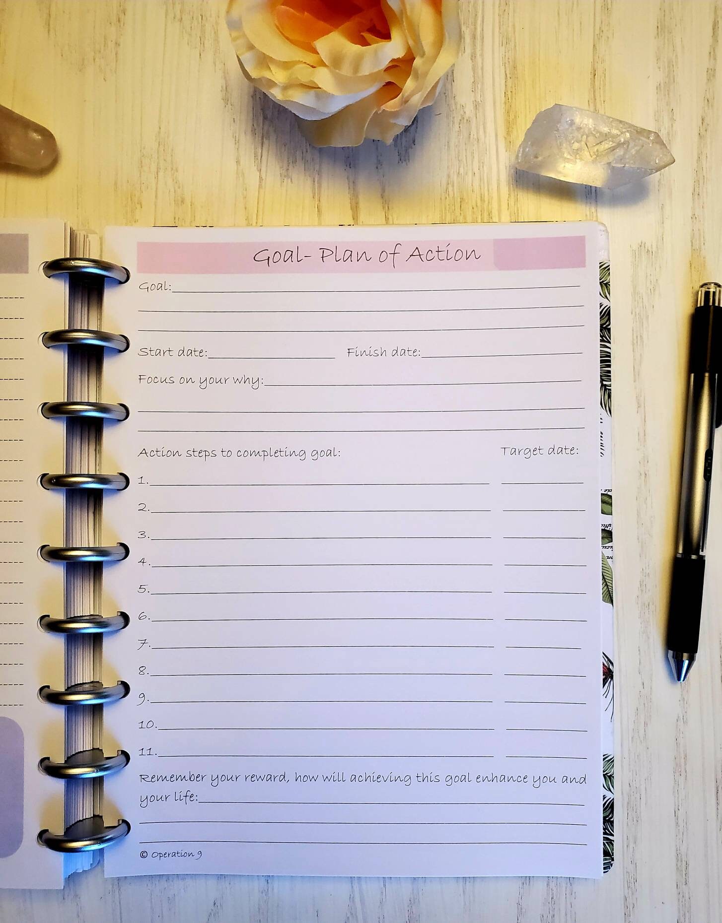 Goal Page for 9 Disc Planner System Etsy