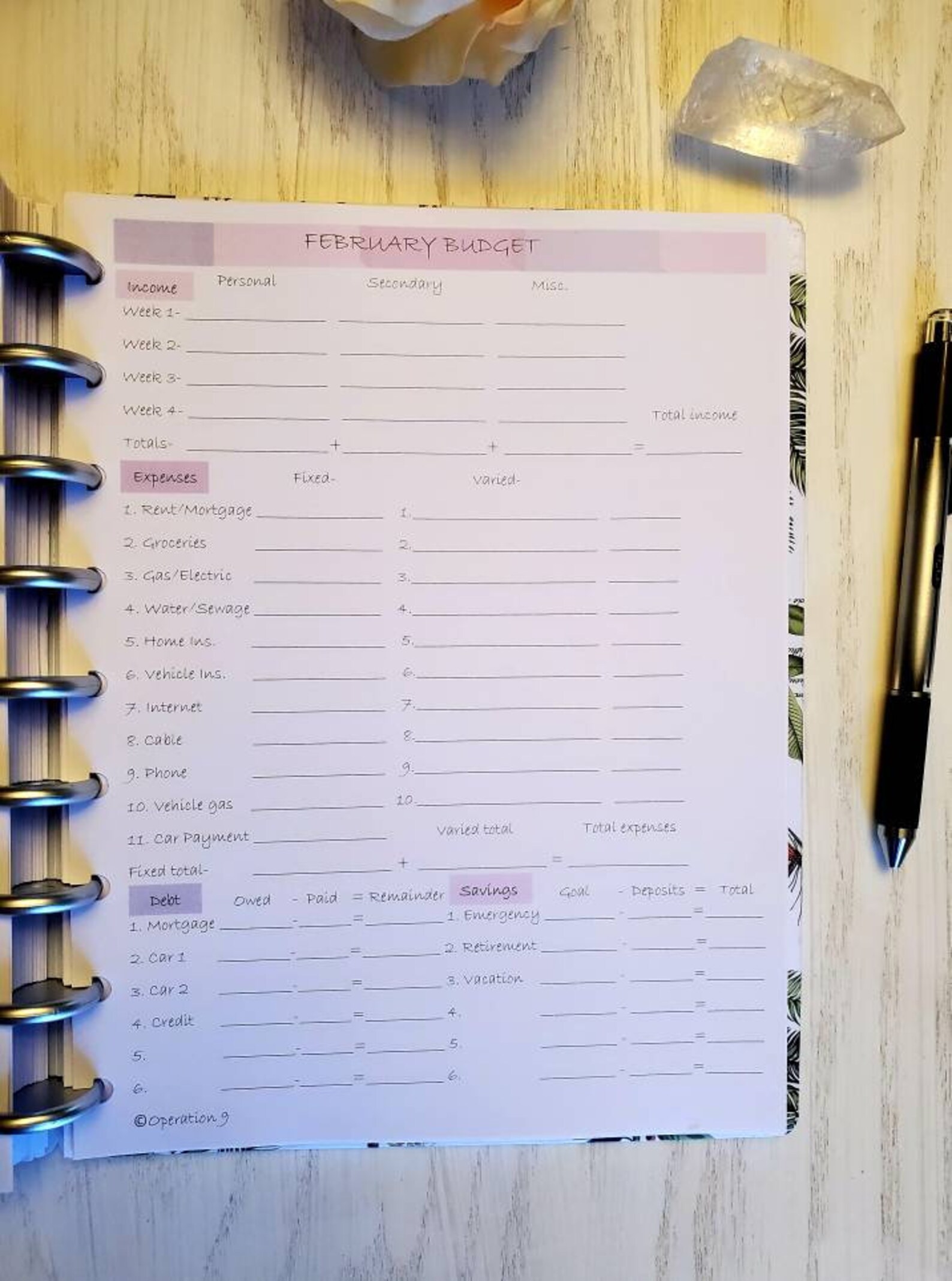 Budget Pages for all 9 Disc Planner Systems including Happy Etsy