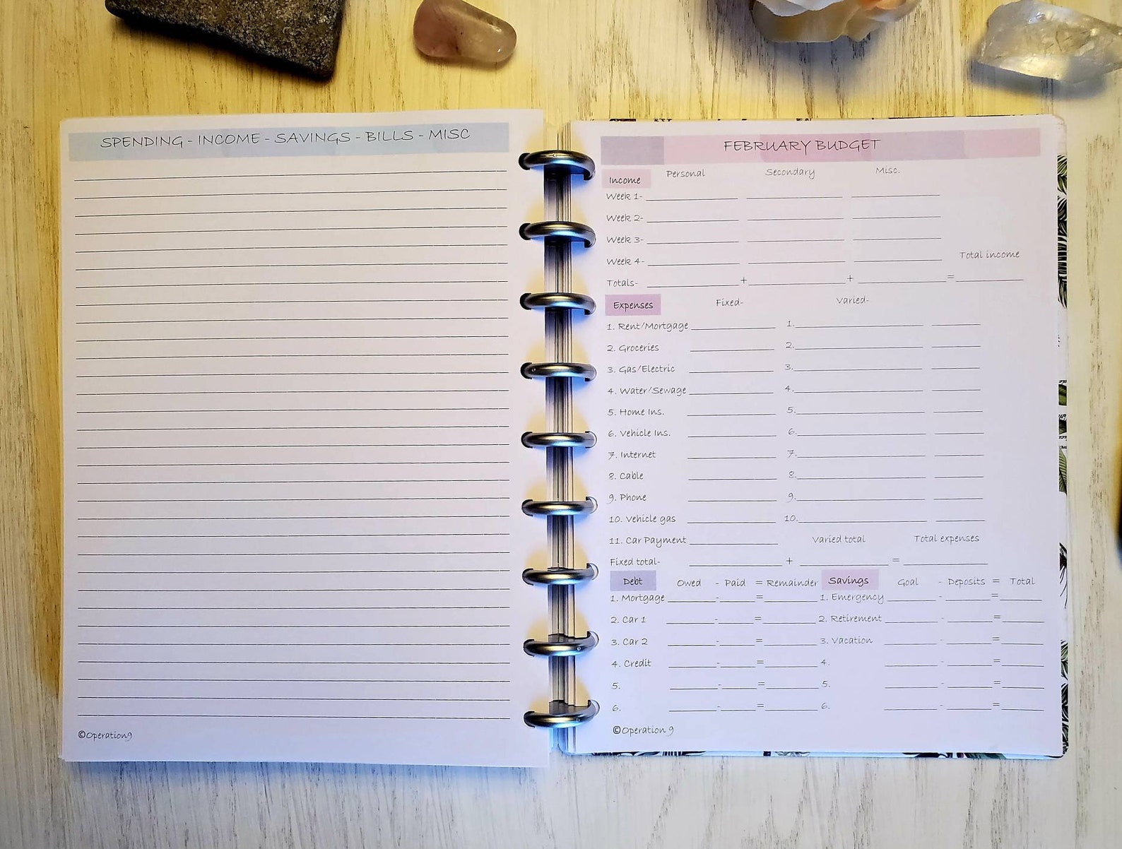 Budget Pages for all 9 Disc Planner Systems including Happy Etsy
