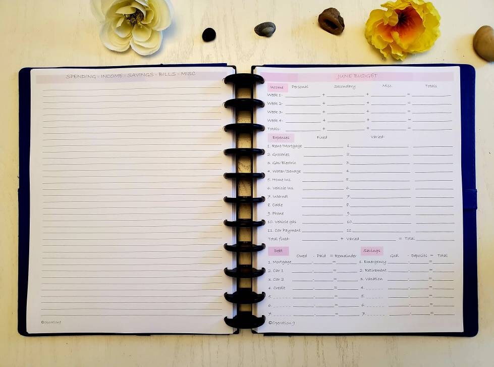 Budget Pages for All 11 Disc Planner Systems, Including Arc and Tul Etsy