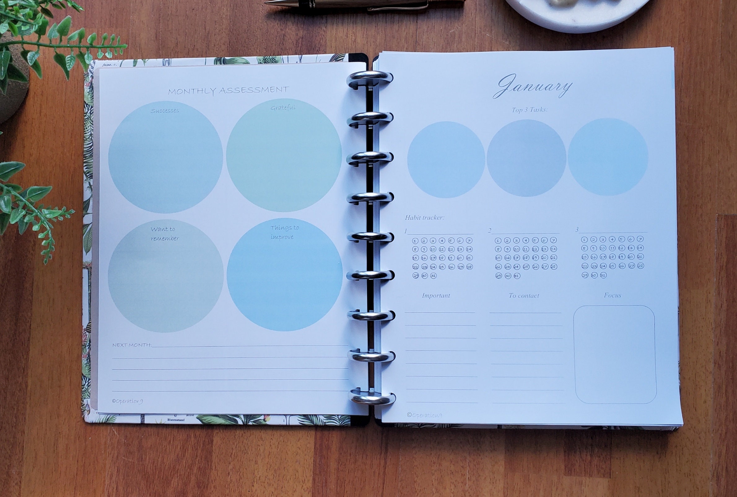 2025 Weekly and Monthly Planner Pages for all 9 disc Planner Systems, including Happy Planner