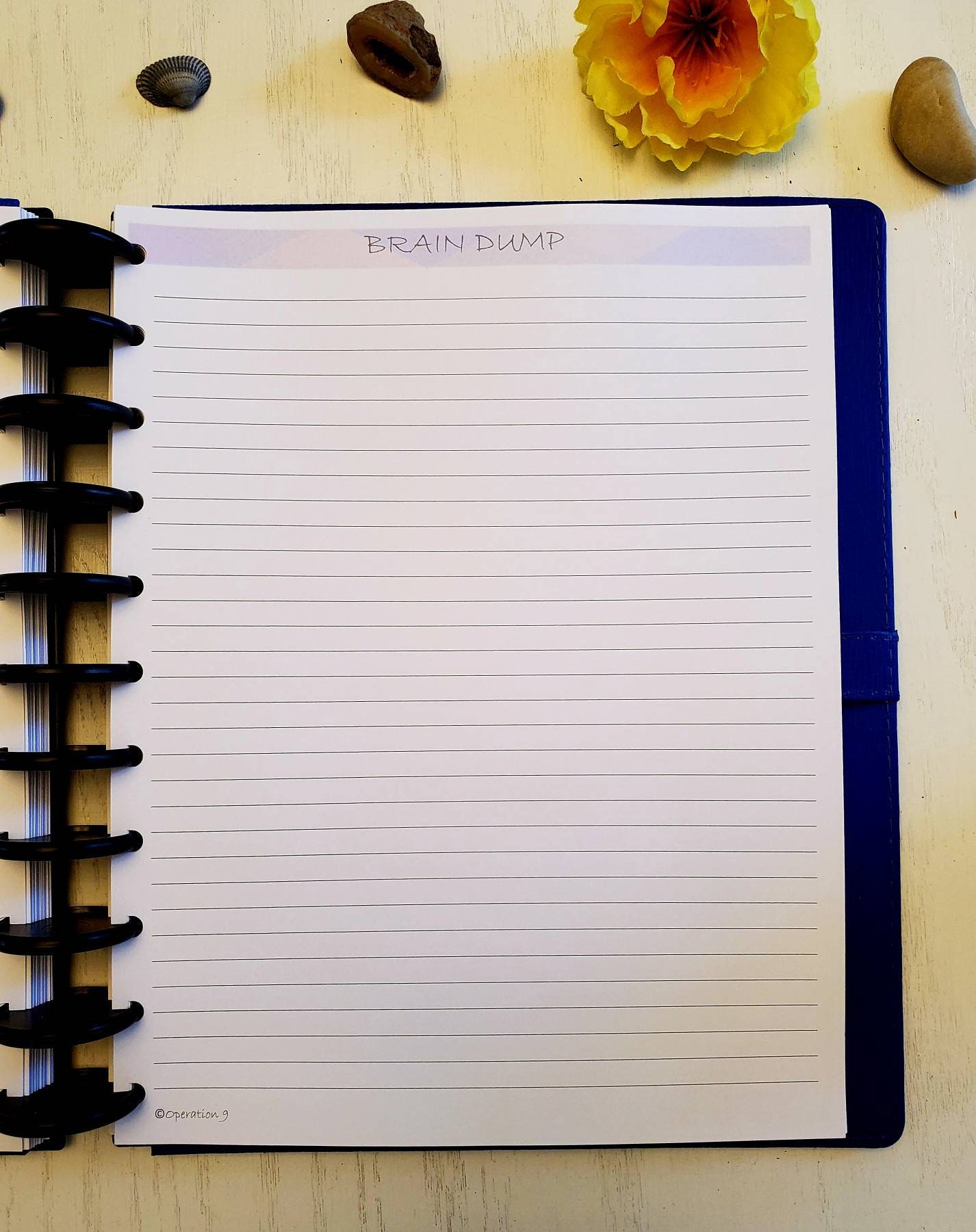 Note Pages for All 11 Disc Planner Systems, Including Tul and Arc Etsy UK