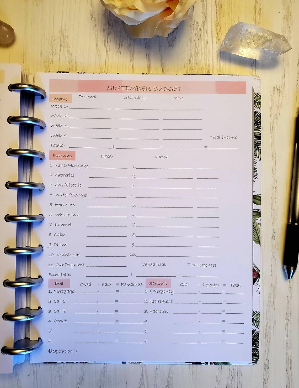 Budget Pages for all 9 Disc Planner Systems including Happy Etsy