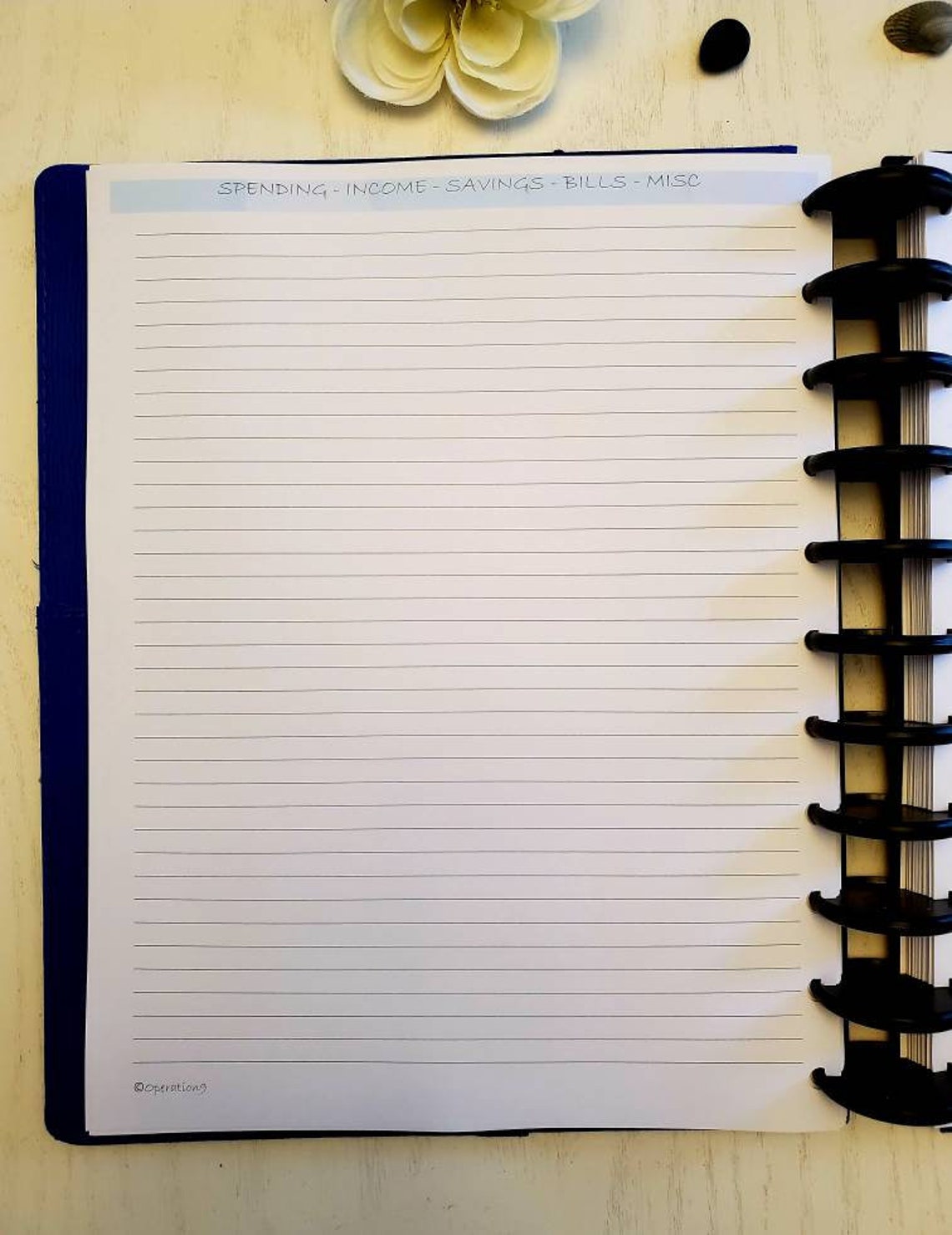 Budget Pages for All 11 Disc Planner Systems, Including Arc and Tul Etsy