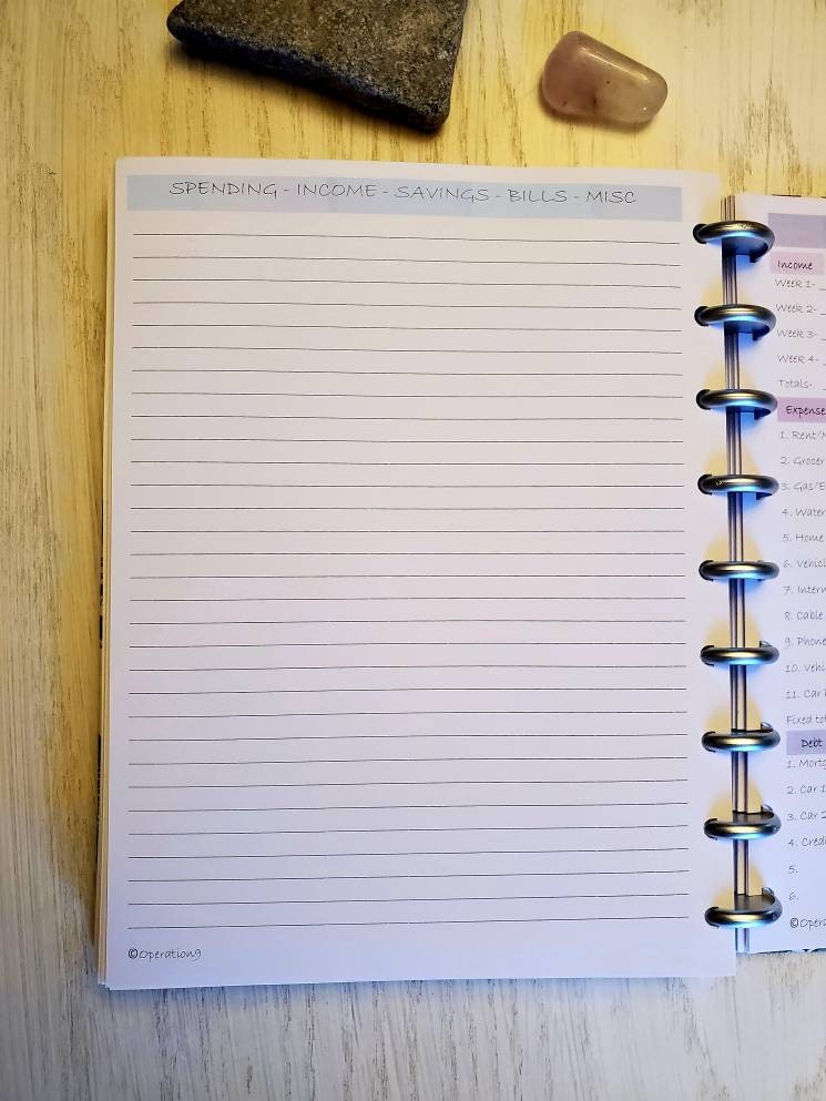 Budget Pages for all 9 Disc Planner Systems including Happy Etsy