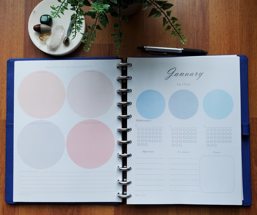 2025 Weekly and Monthly Planning Pages for All 11 Disc Planner Systems