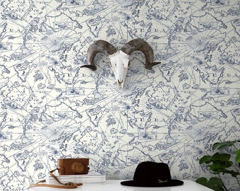 Peel and Stick | Self Adhesive Wallpaper | Peel and Stick Wallpaper | Map Wallpaper | Neutral Wallpaper | Blue Wallpaper | Decor