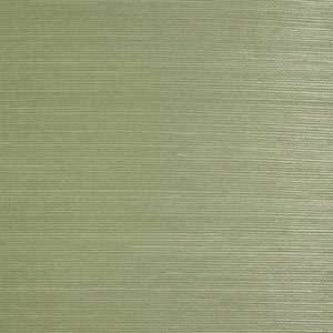 Wallpaper | Grasscloth Wallpaper | Natural Wallpaper | Textured Wallpaper | Modern Wallpaper | Green Wallpaper |  Luxury Wallpaper | Decor