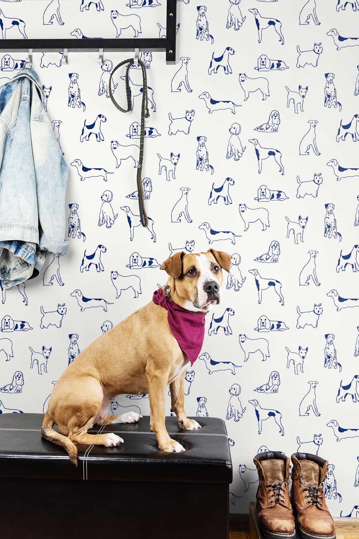 Buy Funny Dogs Wallpaper Peel and Stick Wall Mural Removable Online in  India  Etsy