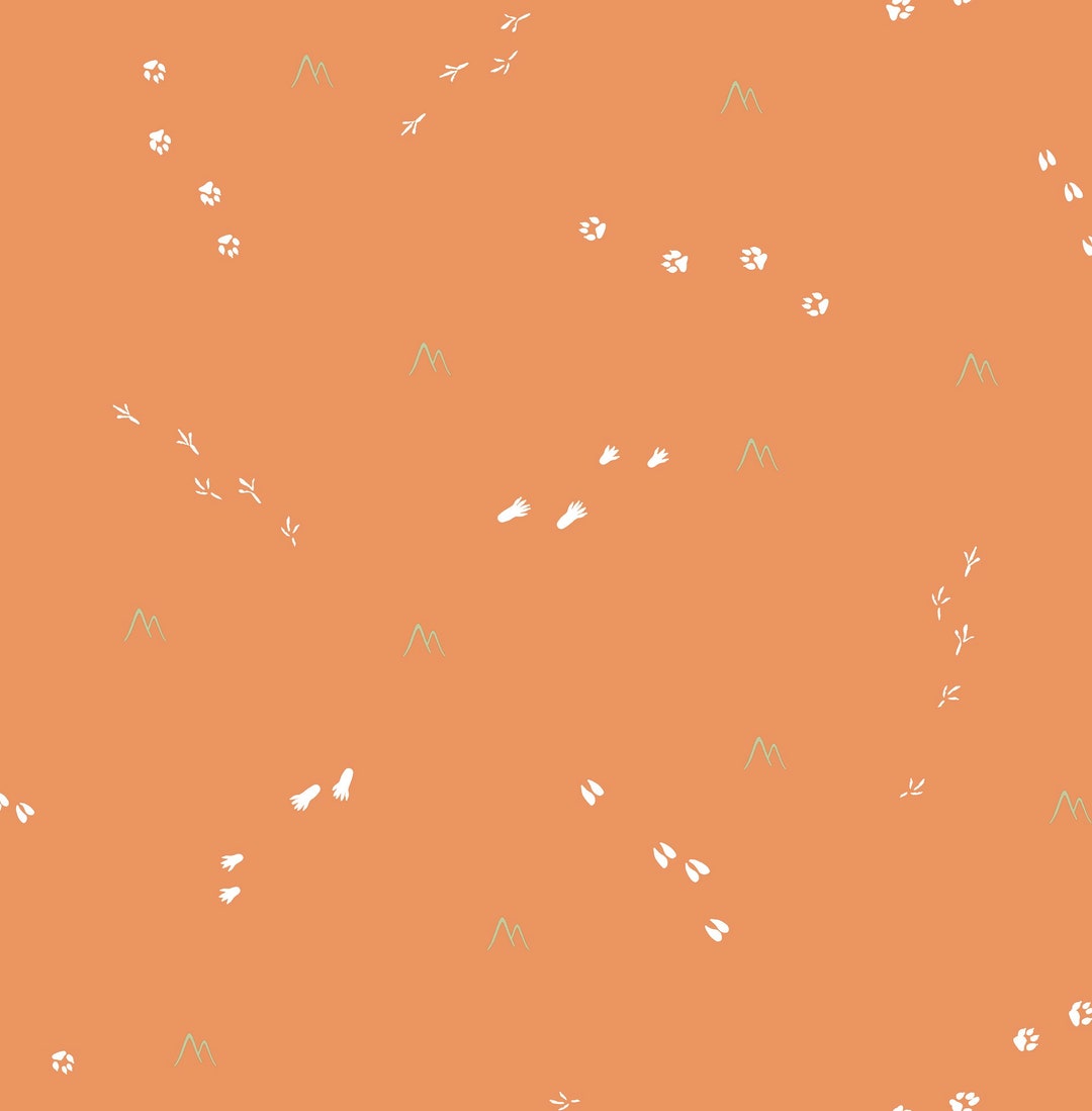 Wallpaper Animal Wallpaper Nursery Wallpaper Kids Wallpaper Childrens Wallpaper Abstract