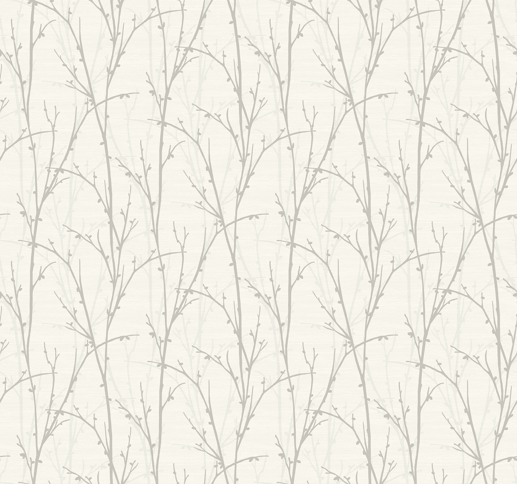 Wallpaper Forest Wallpaper Branch Wallpaper Nature Etsy