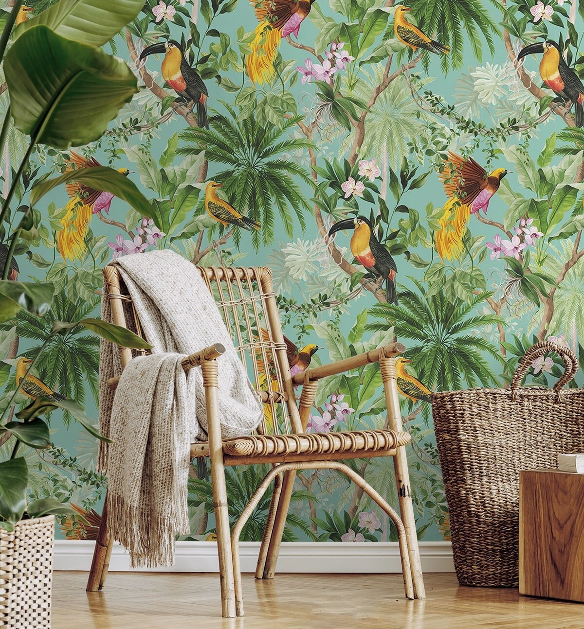 Peel and Stick Wallpaper | Self Adhesive Wallpaper | Bird Peel and Stick | Peel and Stick | Temporary Wallpaper | Tropical Peel Stick