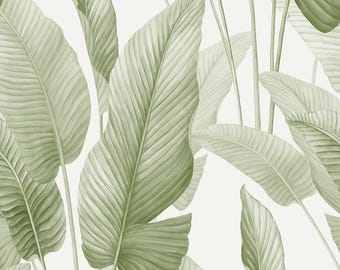Palm Leaf Wallpaper | Tropical Botanical Wallcovering (Unpasted)