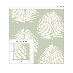 May include: A green and white wallpaper with a repeating pattern of palm leaves. The wallpaper is shown in a 20.5 inch wide section. A smaller section of the wallpaper is shown for scale, measuring 6 inches by 6 inches.