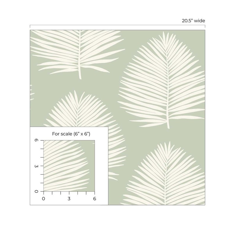 May include: A green and white wallpaper with a repeating pattern of palm leaves. The wallpaper is shown in a 20.5 inch wide section. A smaller section of the wallpaper is shown for scale, measuring 6 inches by 6 inches.