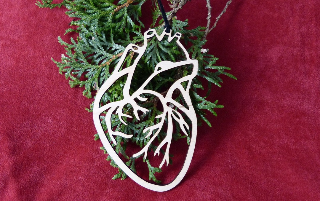 Anatomical Human Heart Ornament Laser Cut Baltic Birch Anatomy Phd