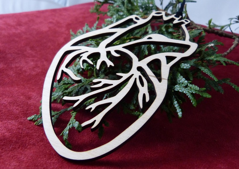 Anatomical Human Heart Ornament Laser Cut Baltic Birch Etsy