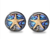 SET of 2 Coastal Beach Abalone Starfish Silver Nickel GLASS Cabinet Drawer Bifold Closet Door Knob Pull Handle