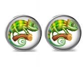 SET of 2 Chameleon Lizard Silver Nickel GLASS Cabinet Drawer Bifold Closet Door Knob Pull Handles Green Yellow