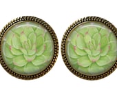 SET OF 2 Cacti Succulent Cactus Desert Succulents Ornate Vintage Gold GLASS Cabinet Drawer bifold Bi Fold Closet Door Knob Pull Handle