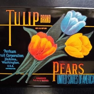 TULIP PEARS - Yakima Washington - United States of America