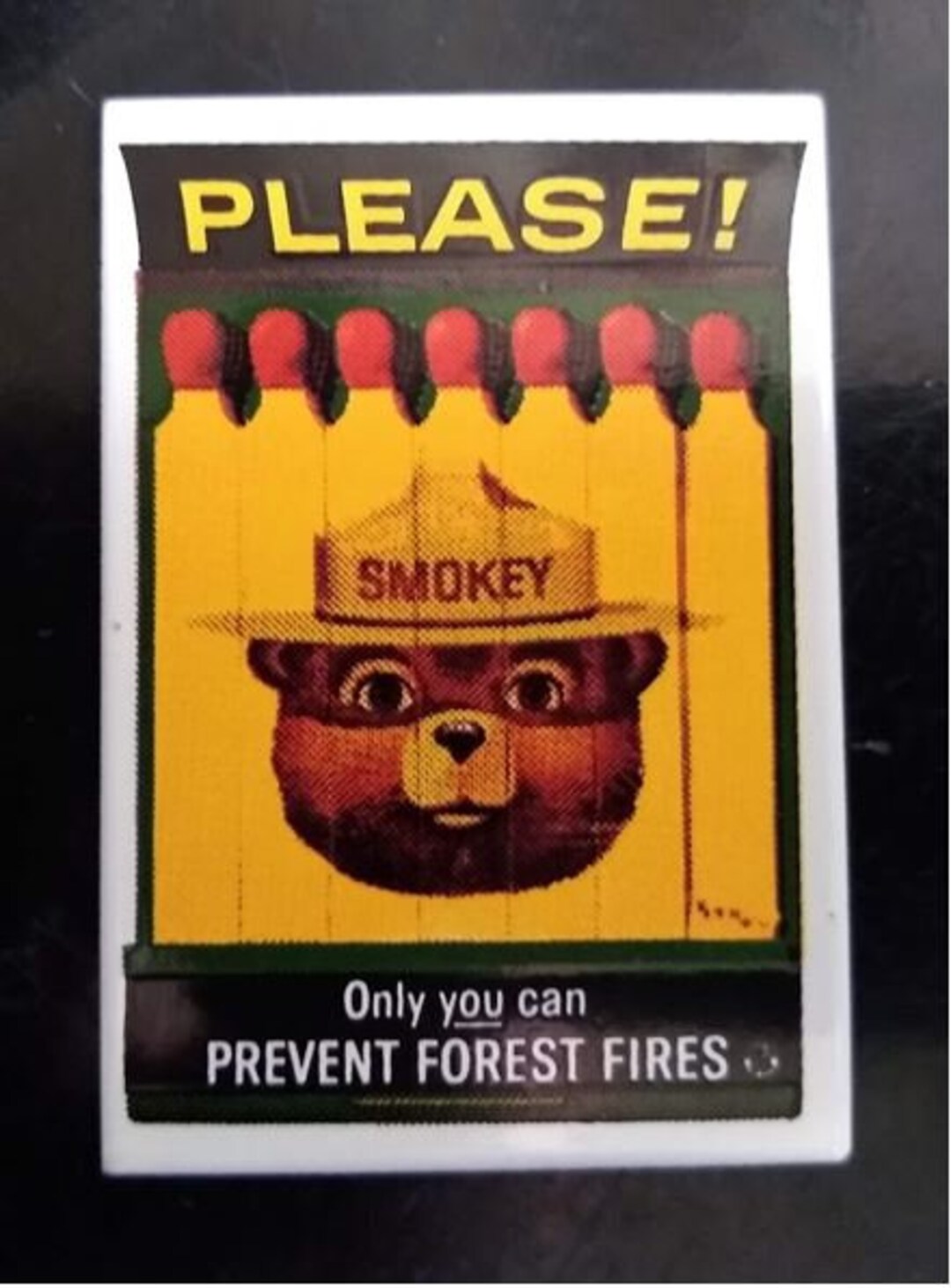 Smokey Bear Kayaker - Solo tu puoi prevenire gli incendi