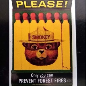SMOKEY the BEAR - Solo TU puoi prevenire gli incendi boschivi.