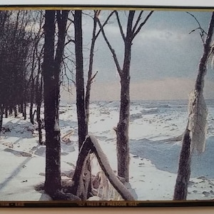 carte de Noël vintage de Carl Sundberg - 2004 - « Icy Trees on Presque Isle Christmas Day » et il est l’artiste original de la pièce.