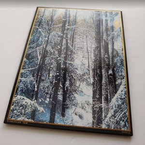 Carte de Noël de Carl Sundberg - 2005 - « SNOWY EVERGREENS » et il est l’artiste original de la pièce.