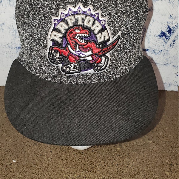 Toronto Raptors fitted hat