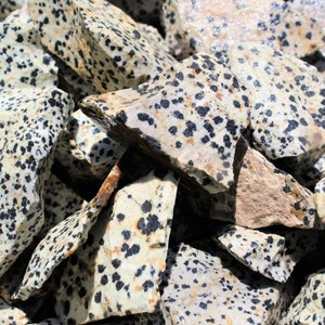 Könnte beinhalten: Nahaufnahme eines Stapels roher Dalmatiner-Jaspis-Steine. Die Steine sind hellbeige mit schwarzen Flecken.