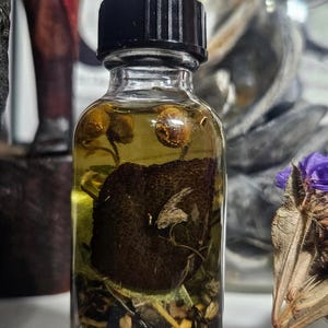 May include: A clear glass bottle with a black cap, filled with a yellow liquid and various botanicals. The bottle contains a large, dark brown, textured object, along with smaller plant matter and seeds. The background is blurred.