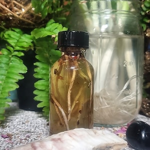 May include: A small, clear glass bottle with a black cap, filled with a light amber liquid and plant matter. The bottle is in front of a fern and a large glass jar with white strands. A piece of white stone is in the foreground.
