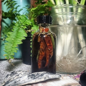 May include: A small glass bottle filled with a dark liquid and dried red peppers. The bottle has a black lid and is sitting on a gray and white stone.