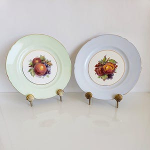 Shelley Pale Blue and Mint Green Fruit Medallion Fine Bone China Plates, England 1940s