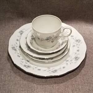 Johann Haviland 5 Piece Place Setting - Blue Garland