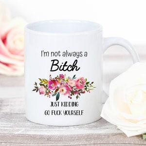 Funny Coffee Mug, Sarcastic Mug, Mature Gift, Rude Mug, Best Friend Gift, Insult Mug, Mugs with Sayings, Bitch Mug, Vulgar Tea Cup