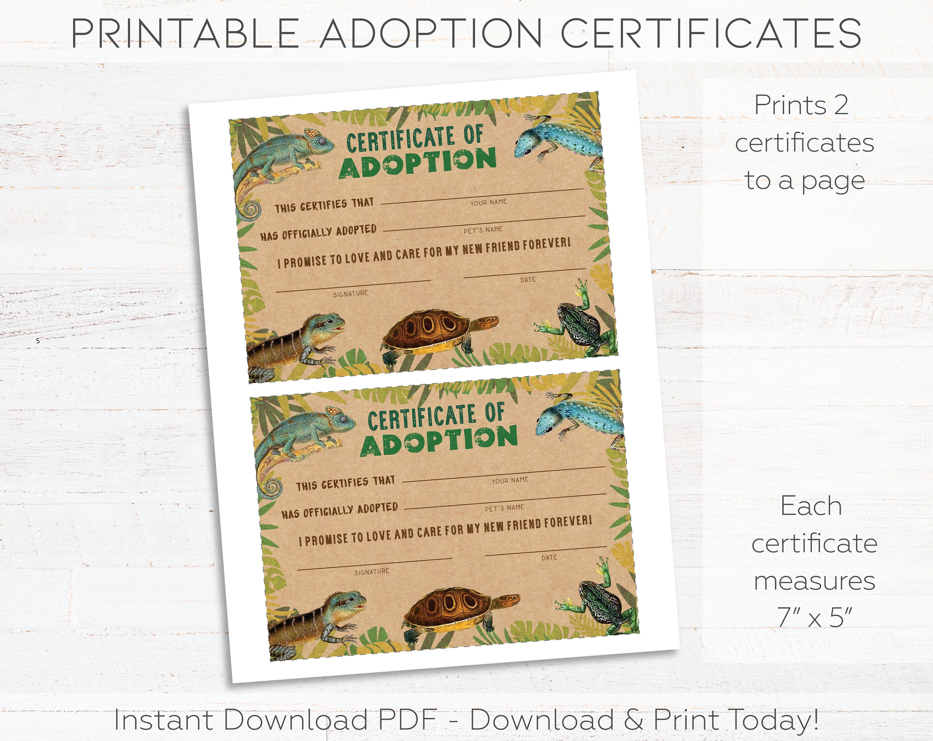 Reptile Rescue Form Adopt a Reptile Printable Sign & Reptile Adoption Certificates, Reptile ...
