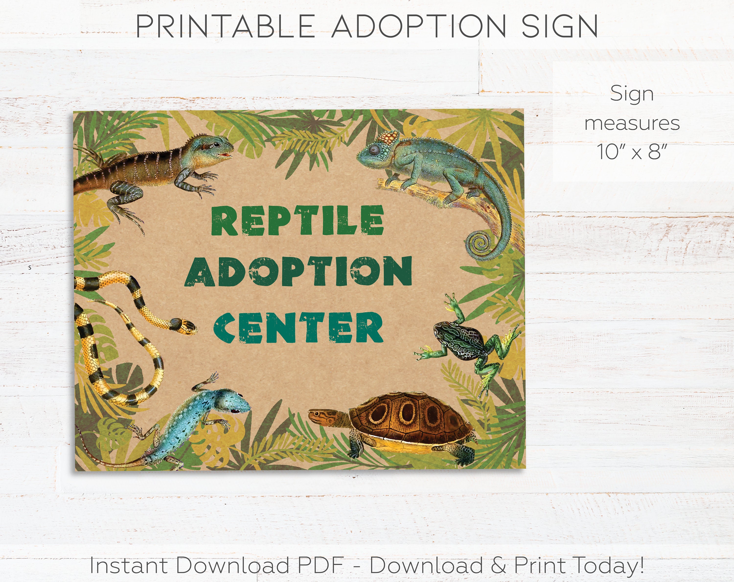 Snake Rescue Words Sign Adopt a Reptile Printable Sign & Reptile Adoption Certificates, Reptile ...