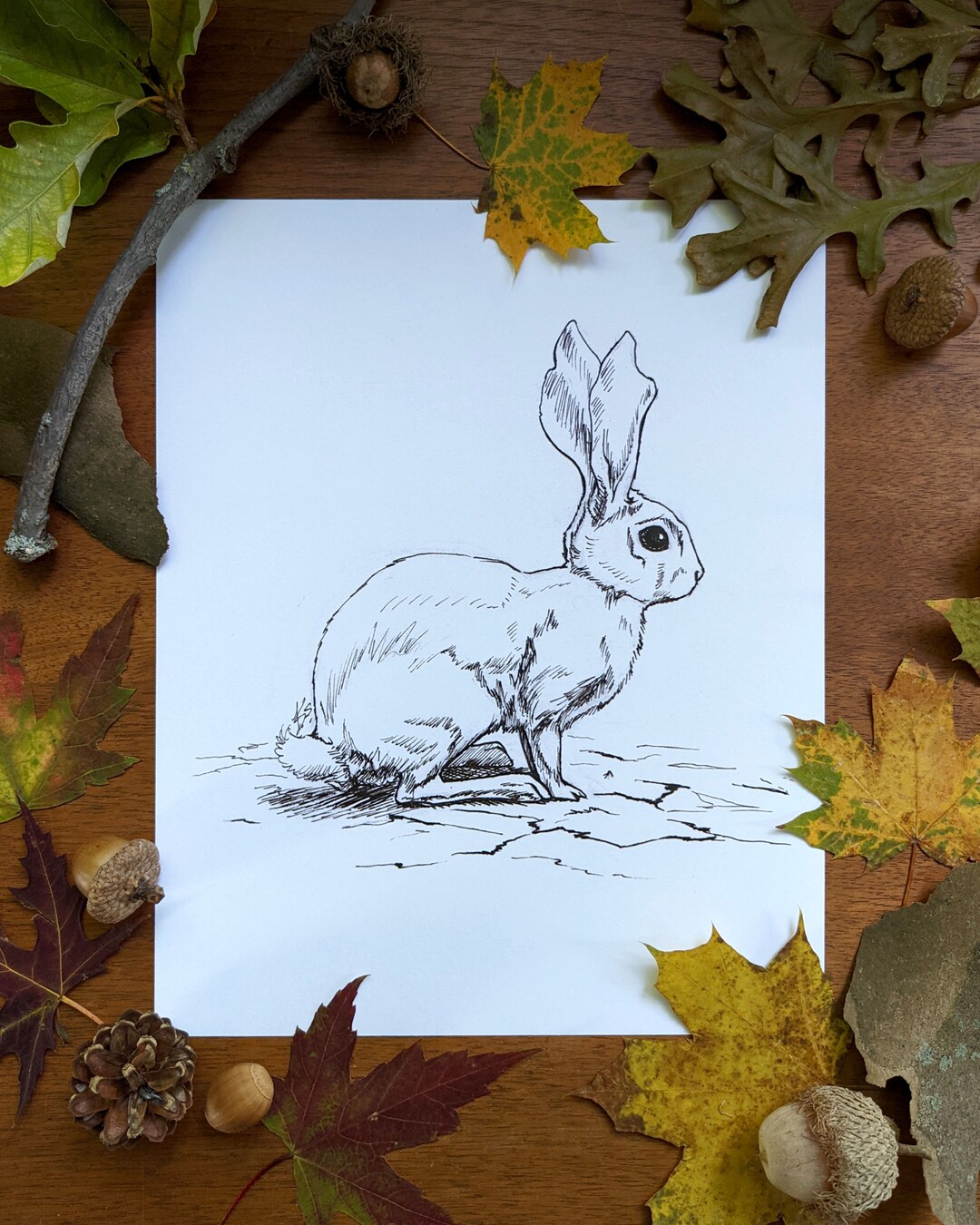 Rabbit 8 X 10 Art Print / Animal Lover / Whimsical Decor / Pen & Ink ...