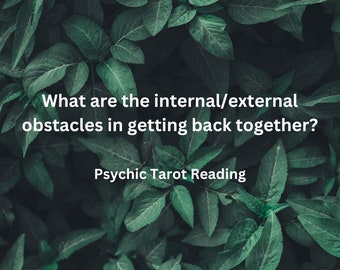 Obstacles in Getting Back Together - Ex Psychic Tarot Reading