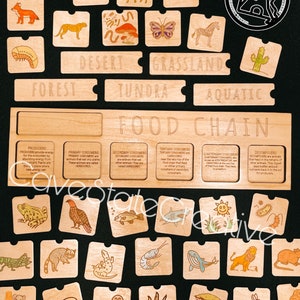 May include: A wooden food chain learning game with colorful illustrations of animals and plants. The game includes a board with sections for producers, primary consumers, secondary consumers, tertiary consumers, quaternary consumers, and decomposers. The game also includes a set of wooden tiles with pictures of animals and plants that can be used to create a food chain.