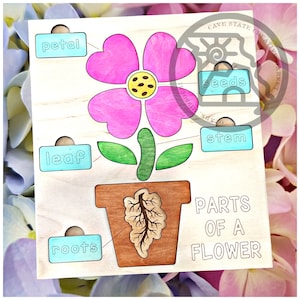 Parts of a Flower Puzzle (Digital Cut File )